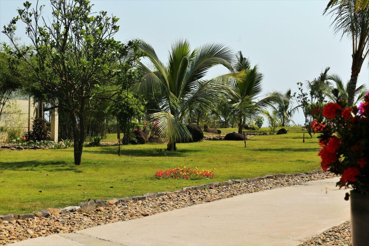 Bao Ninh Beach Resort Донгхой Екстер'єр фото